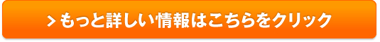 ソシエ スタイルアップチャレンジャー販売サイトへ